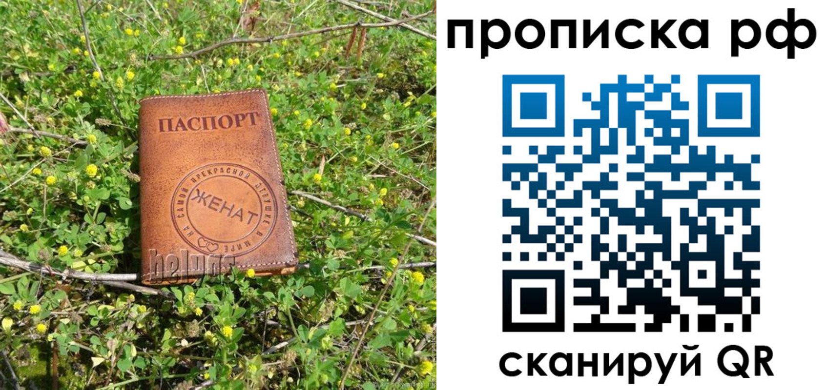 прописка иностранных граждан в Воронеже